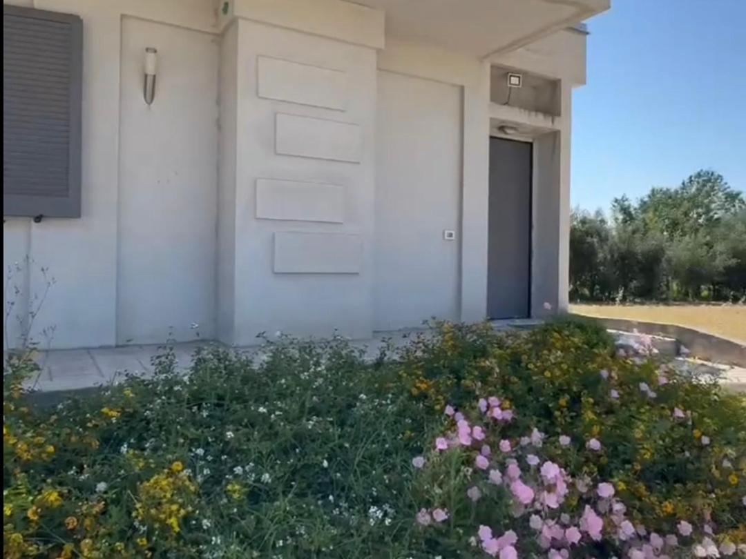 Gramp House Casa Vacanze Cellole Dış mekan fotoğraf